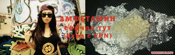 шишки Алзамай