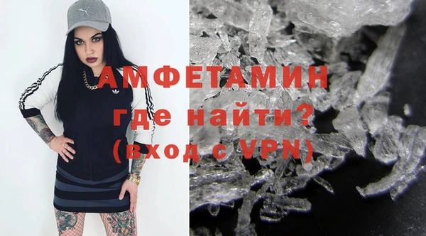 шишки Алзамай