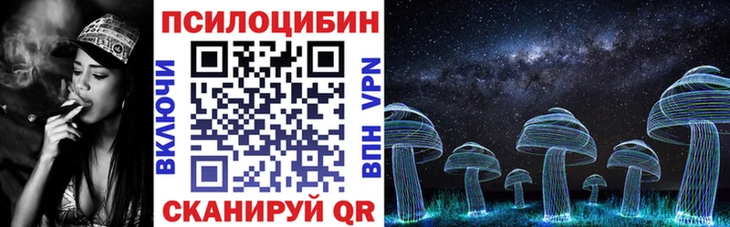 Псилоцибиновые грибы Psilocybine cubensis  купить  сайты  Геленджик 