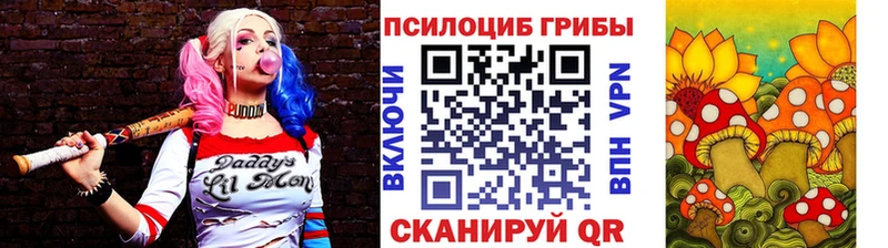 Псилоцибиновые грибы мицелий Геленджик
